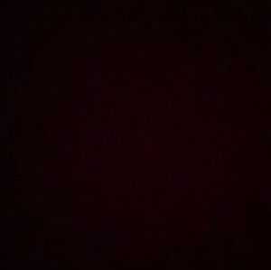 Meet your Posher, Jaden